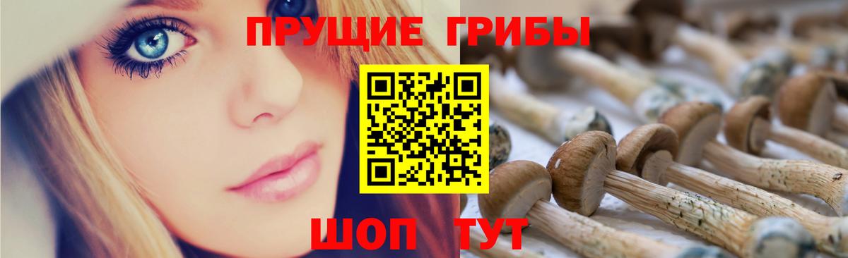 Выкса  Псилоцибиновые грибы Psilocybe  наркошоп  Вход с VPN 